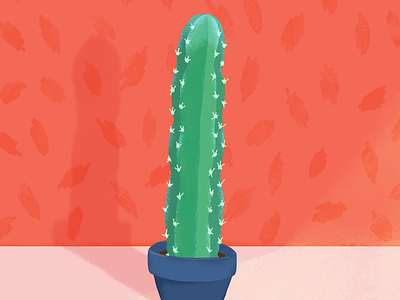 Cactus Still Life cactus illustration plant stilllife