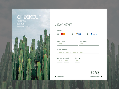 Credit Card Checkout Page brand credit card design everydaydesign illustration typography ui