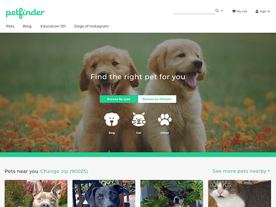 Find a pet homepage redesign