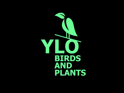YLO logo