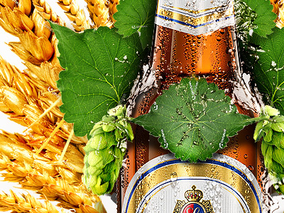 Lezajsk Beer beer bottle gold green nature