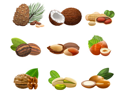 Nuts food mesh nuts realistic vector