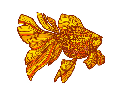 3 Dribbble Invites draft dribbble goldfish graphics hand drawn invite sea sketch vector