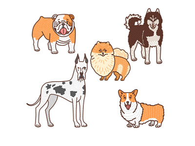 Dogs animal breed bulldog corgi dog dogs doodle graphic great dane hand drawn husky illustrator pet pomeranian vector