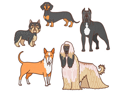 Dogs 2 afghan hound animal bull terrier cane corso dachshund dog dogs doodle graphic hand drawn illustrator pet procreate vector yorkie