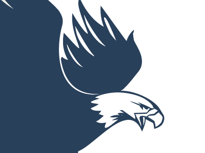 Eagle eagle freedom hawk vector