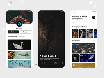 Wildlife Photography profile App