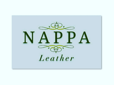 logo Design "Nappa" Leather brand design font graphics logo symbol vector