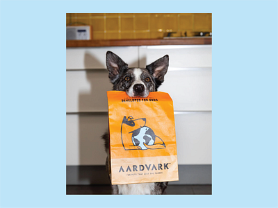 Aardvark by Aron leah on Dribbble