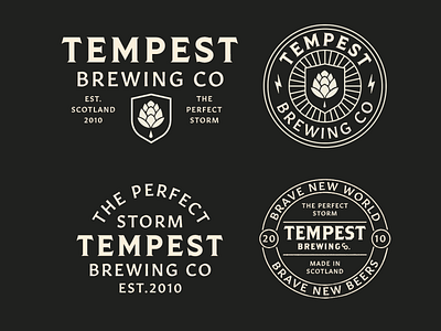 TEMPEST artist branding design designer graphic design identity illustration illustrator logo typography