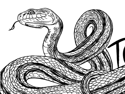 Snake animals brush illustration ink snake