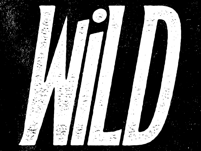 Wild black and white josh lafayette lettering serif texture typography wild