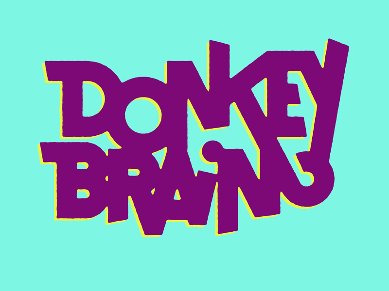 Donkey Brain always sunny donkey donkey brain illustration josh lafayette lettering lol typography