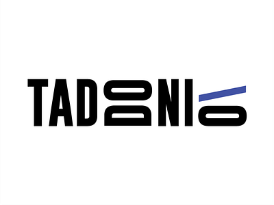 Taddonio Wordmark branding logo personal brand portfolio typography wordmark