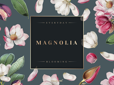 Magnolia : Everyday Blooming Floral