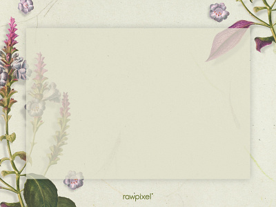 Botanical : Frame art artistic background beige blank space bloom blooming blossom botanical botany color colorful copy space copyspace craft create creative creativity decor decorate