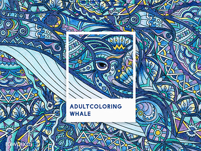 02 Pantone - Whale adultcoloring blue colorpencil drawing graphic pantone tribe whale