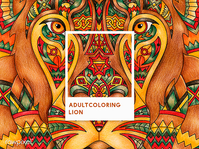 08 Pantone - Lion adultcoloring colorpencil drawing graphic lion pantone brown tribe