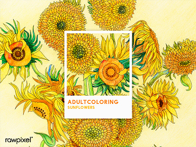 14 Pantone - Sunflowers adultcoloring drawing graphic pantone sunflower yellow colorpencil