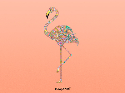 24 Flamingo adultcoloring colorpencil drawing graphic peach pantone flamingo tribe