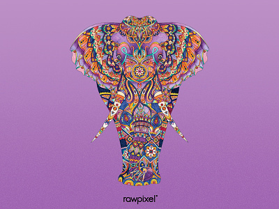 31 Elephant adultcoloring colorpencil drawing elephant graphic pantone tribe violet
