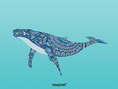 33 Whale adultcoloring blue colorpencil drawing graphic pantone tribe whale