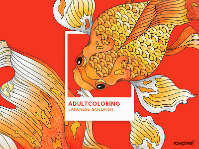 39 Pantone - GOLDFISH adultcoloring colorpencil drawing graphic japan