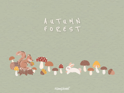 Autumn Foliage : Background