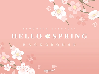 Hello Spring : Background background blooming cherryblossom flower japan pink poster sakura spring