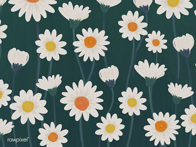 Floral : Daisy Background background botanical daisy design flowers graphic green illustration