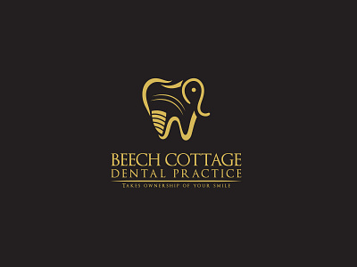 Dental Logo Design branding dental dental doctor dental elephant dental health logo dental logo dental logo with elephant dentist design elephant logo graphicsdesign illustration illutrator logo logo design logodesign ui ux vector