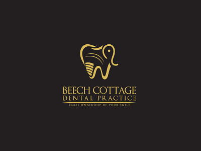 Dental Logo Design branding dental dental doctor dental elephant dental health logo dental logo dental logo with elephant dentist design elephant logo graphicsdesign illustration illutrator logo logo design logodesign ui ux vector