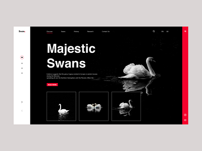 Majestic Swan app design ui ux web