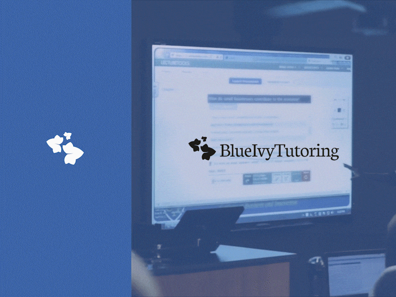 Blue Ivy Tutoring animation branding design education ivy leaf logo logotype tutoring