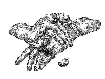 Royal Hands drawing graphic illustration