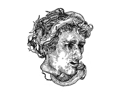 Flavius Domitianus flavius graphic illustration inkonpaper