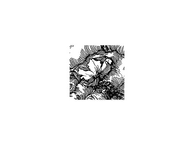 Details Apple blossom botanica graphic illustration inkonpaper