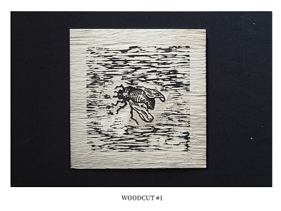 woodcut #1 woodcut