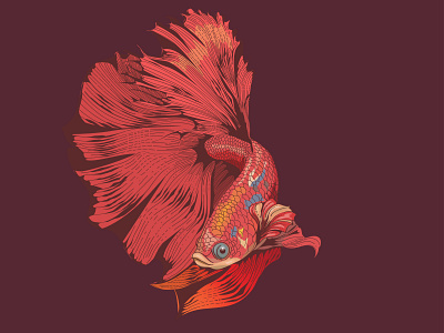 Betta fish in Vector amazing logo animal branding design icon illustration illustrattion logo vec vector vector art