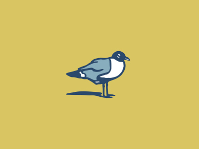 Sea Bird bird icon illustration seagull
