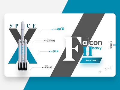 Space X  Falcon Rocket Web Design