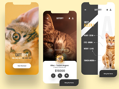 Pet Online store UI/UX Design