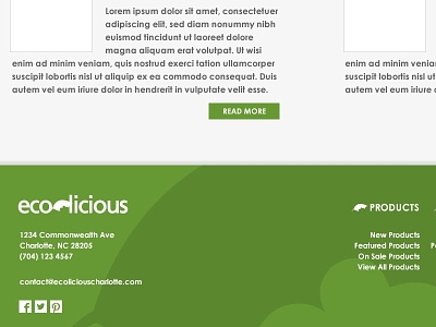 New Footer (Ecolicious Charlotte)