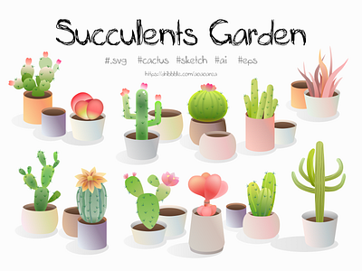 Succulents Garden