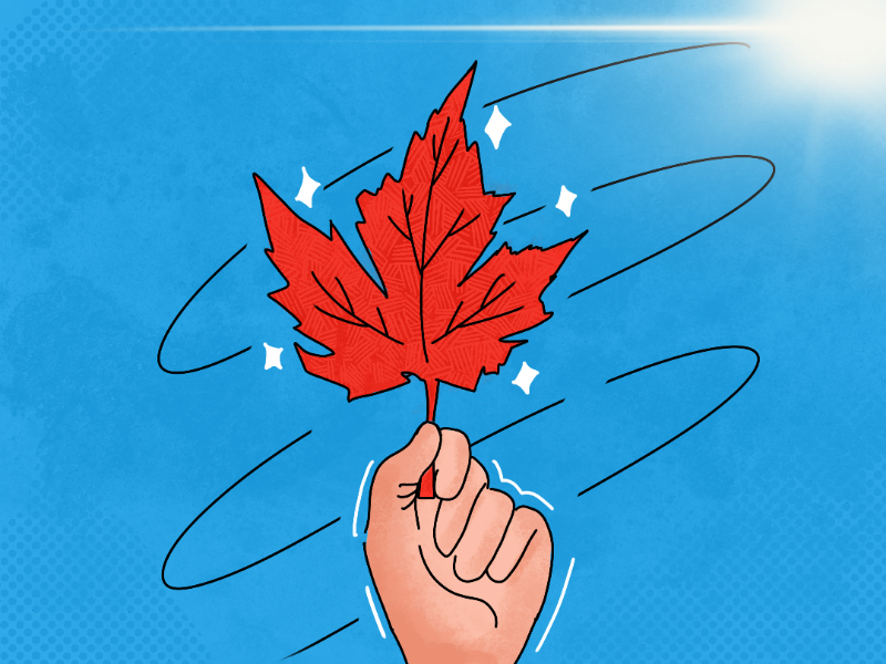 Leaf Procreate Illustration autumn summer digital art digital gal shir ipad adobe cartoon sun peace leaf minimal flat illustration illustrator procreate