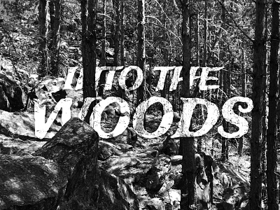 Into The Woods