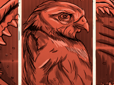 Hawk drawing gig poster illustration wild life