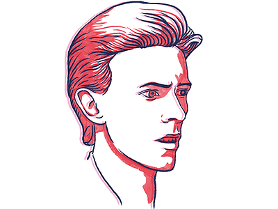 Bowie drawing illustration