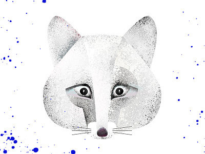 foxy fox animal dot forest fox spot