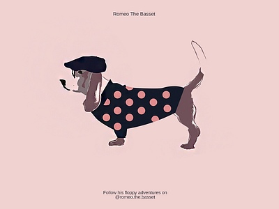 Romeo The Basset basset collage dog french illustration minimal watercolour